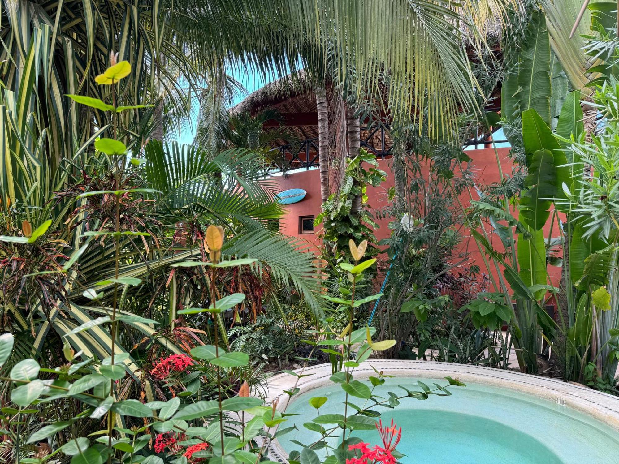 One Love Hostal Puerto Escondido Puerto Escondido  Buitenkant foto