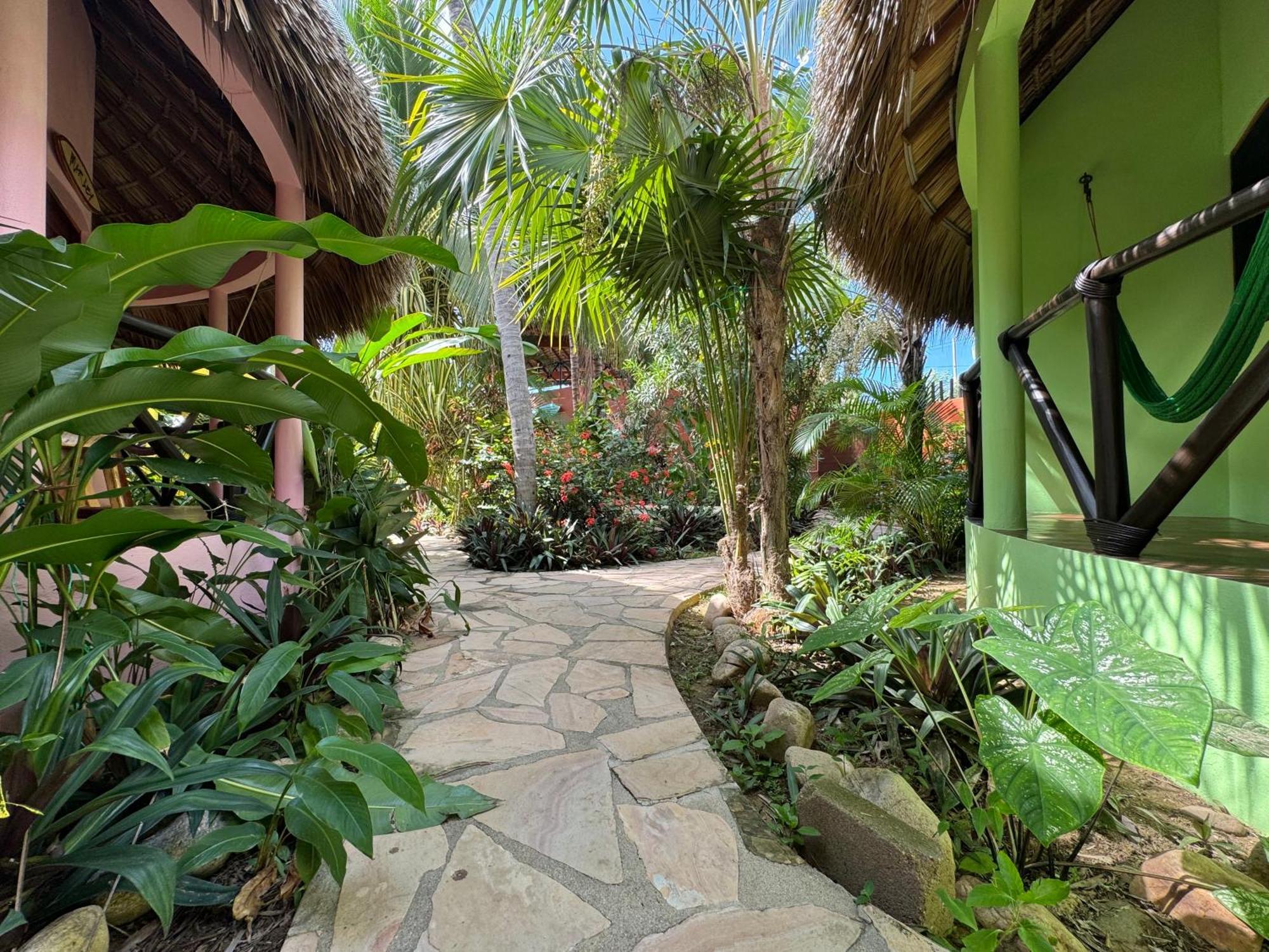 One Love Hostal Puerto Escondido Puerto Escondido  Buitenkant foto