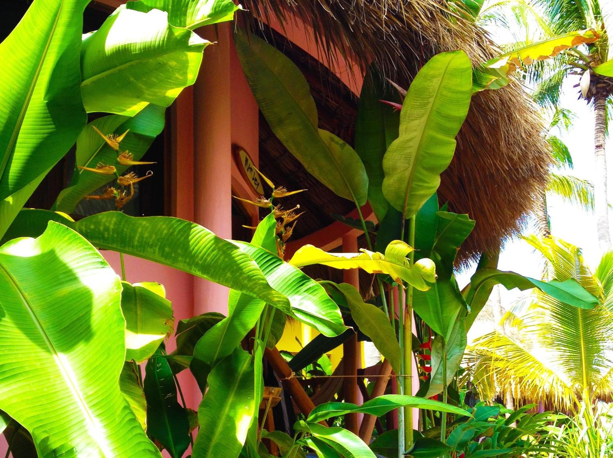 One Love Hostal Puerto Escondido Puerto Escondido  Buitenkant foto